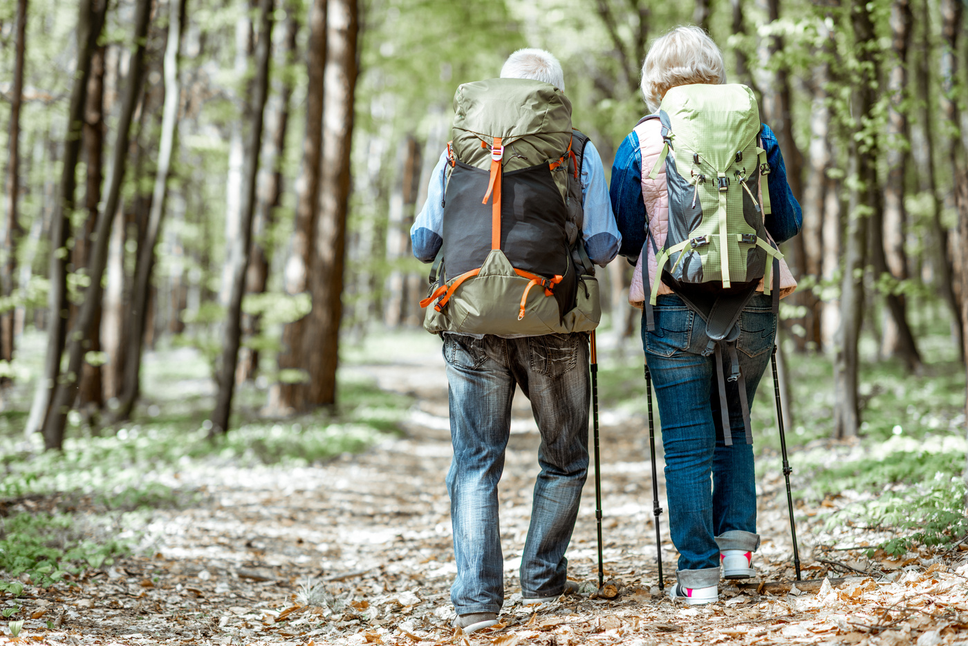 Senior Couple Hiking in the Forest